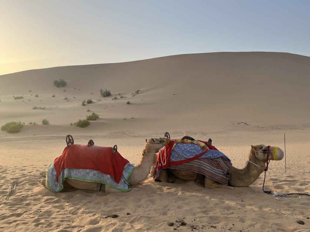 Emirates Tours & Safari LLC abu dhabi | FEW.ae