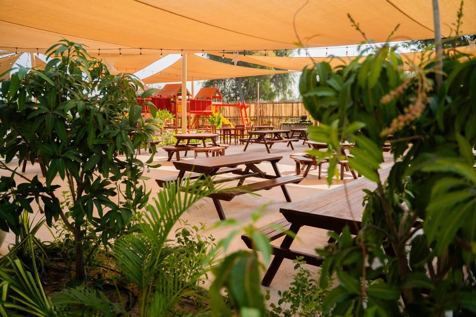 Reform Social & Grill dubai | FEW.ae