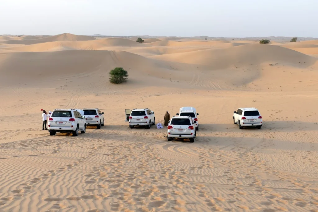 abu dhabi desert safari | FEW.ae