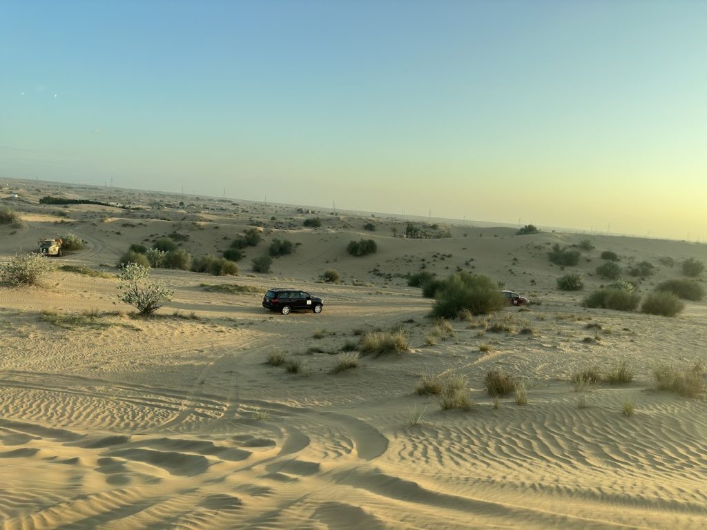 rayna tours dubai | FEW.ae