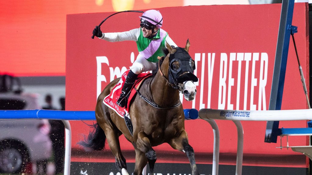 The Dubai World Cup 2025 | FEW.ae