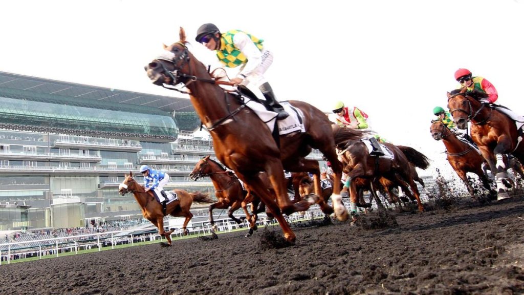 The Dubai World Cup 2025 in dubai | FEW.ae