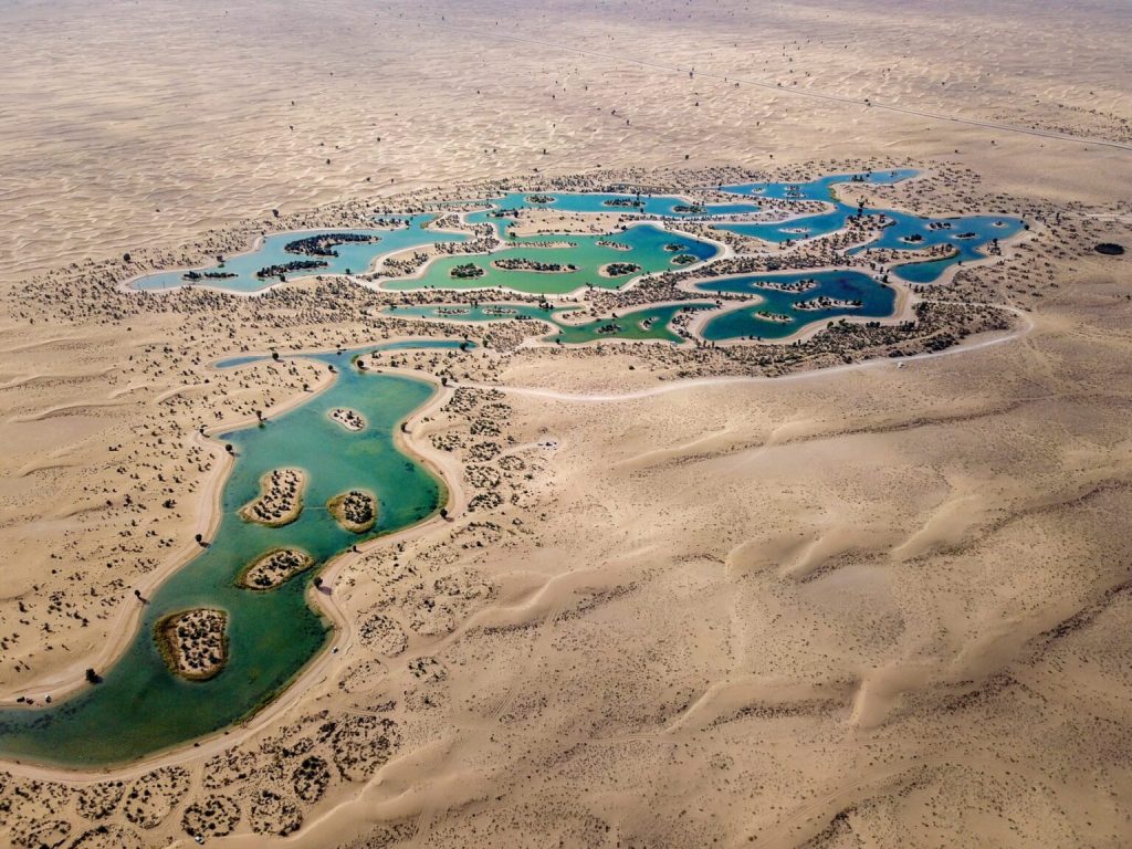 al qudara | FEW.ae