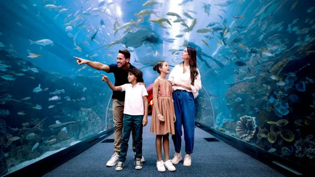 Can you visit the Dubai Aquarium with ticket option1 | FEW.ae
