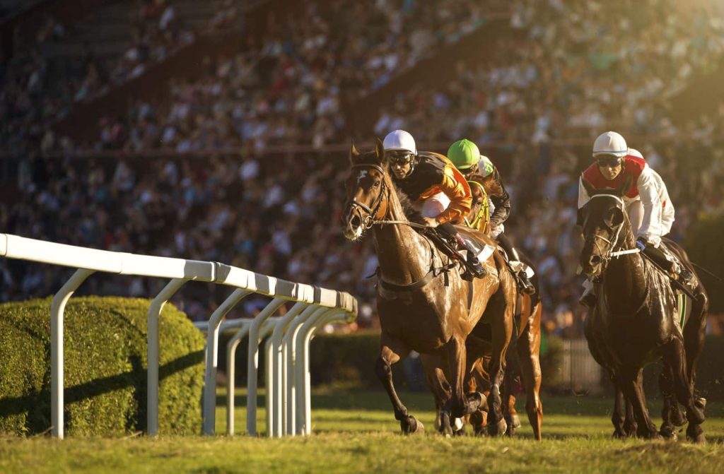 How to attend horse racing events in Dubai1 | FEW.ae