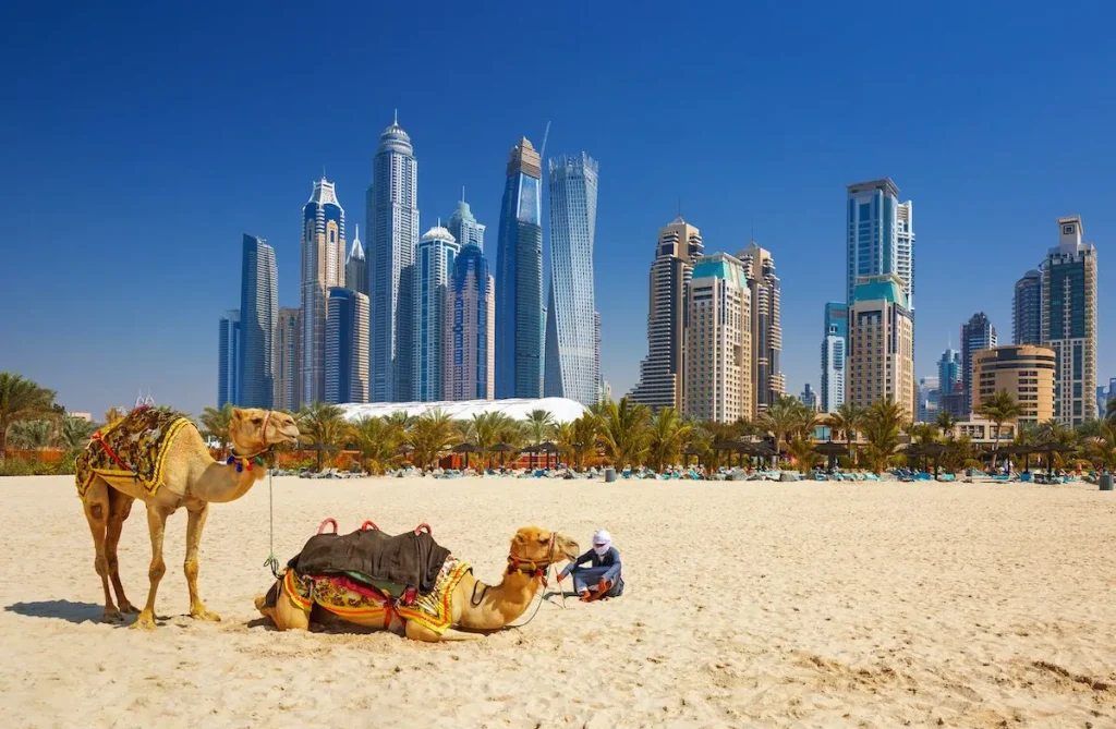 How to book a private tour guide in Dubai2 | FEW.ae