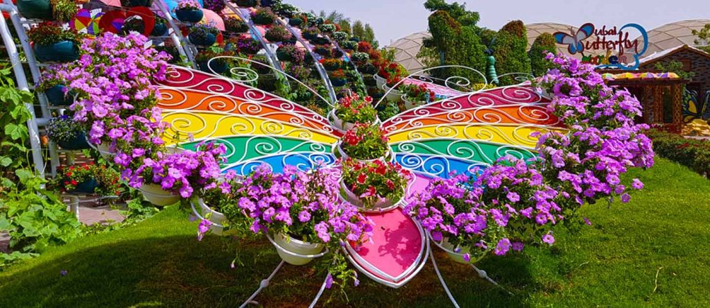 How to enjoy Dubai Butterfly Gardens beauty this season2 | FEW.ae