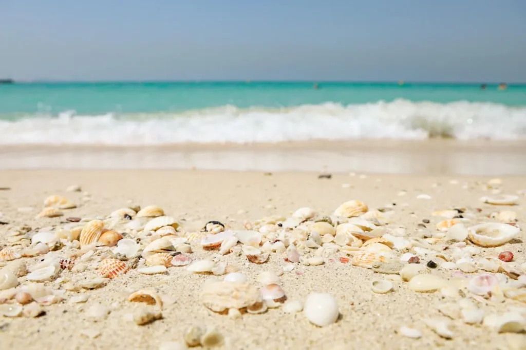 How to visit Dubai Marina Beach1 | FEW.ae
