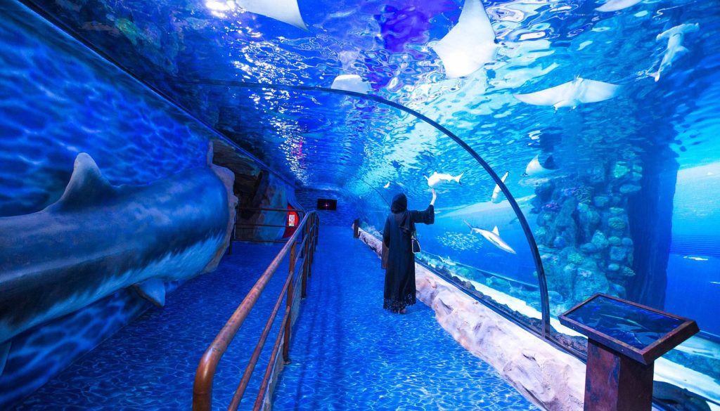 What are the best zoos and aquariums in Dubai2 | FEW.ae