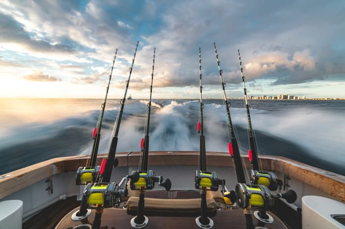 What is the process to get a fishing license in Dubai1 | FEW.ae