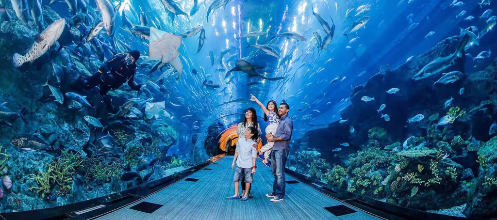 Whats the best way to explore Dubai Mall Aquarium | FEW.ae