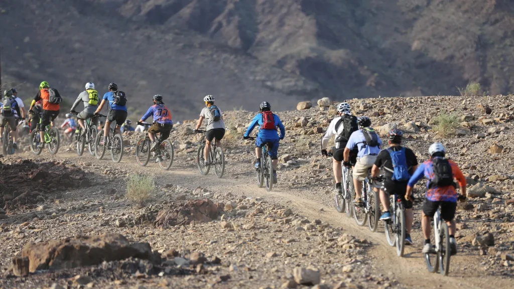 Where are the best bike trails in Dubai1 | FEW.ae