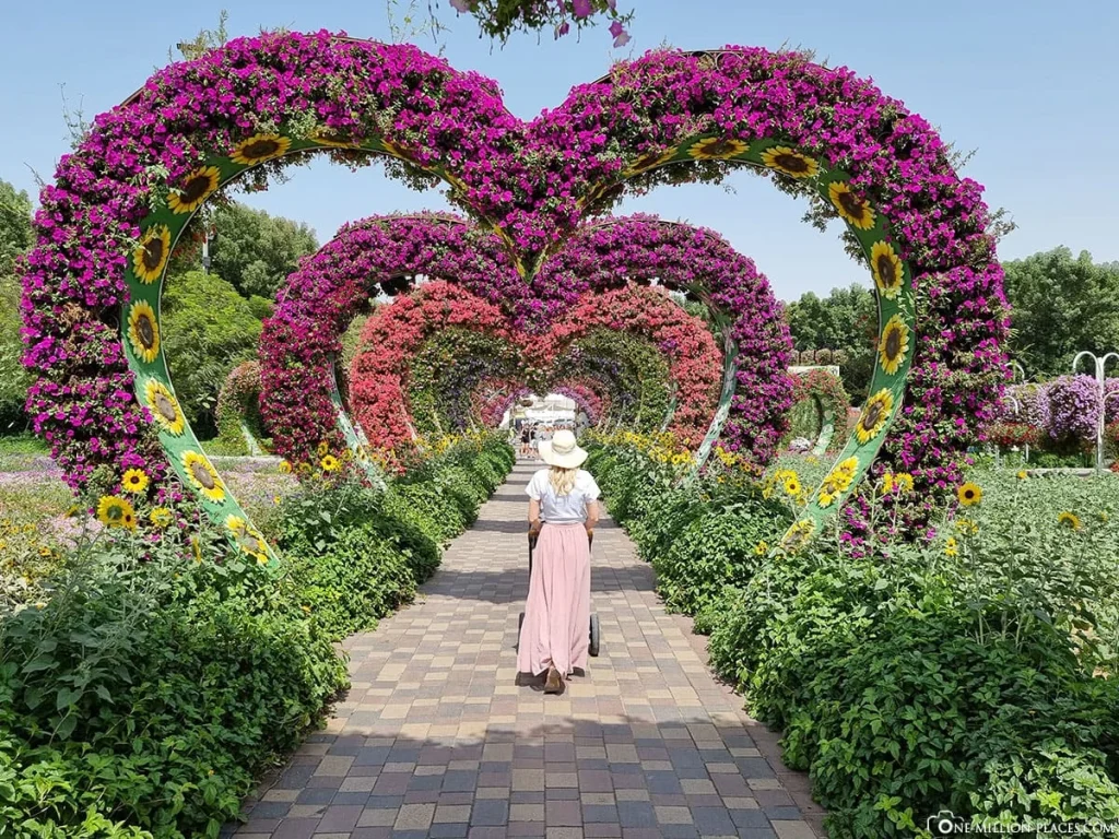 Where are the best spots for Instagram photos in Dubai1 | FEW.ae